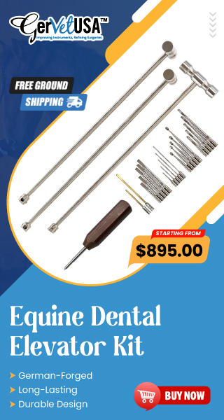 Equine Dental Kit