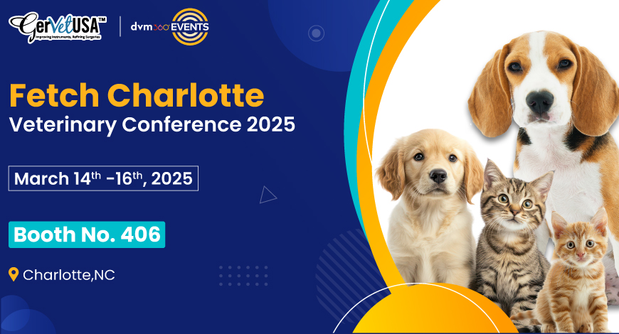 Be a Part of Fetch Charlotte Conference 2025 To Inspire You Like No Other