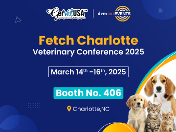 Be a Part of Fetch Charlotte Conference 2025 To Inspire You Like No Other