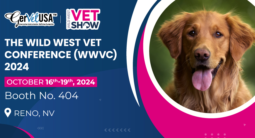 Connect for Excellence at WWVC 2024 and Explore Our New Products