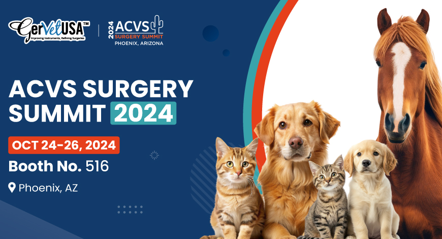 Connect to Excel: Meet Us at ACVS Surgery Summit 2024