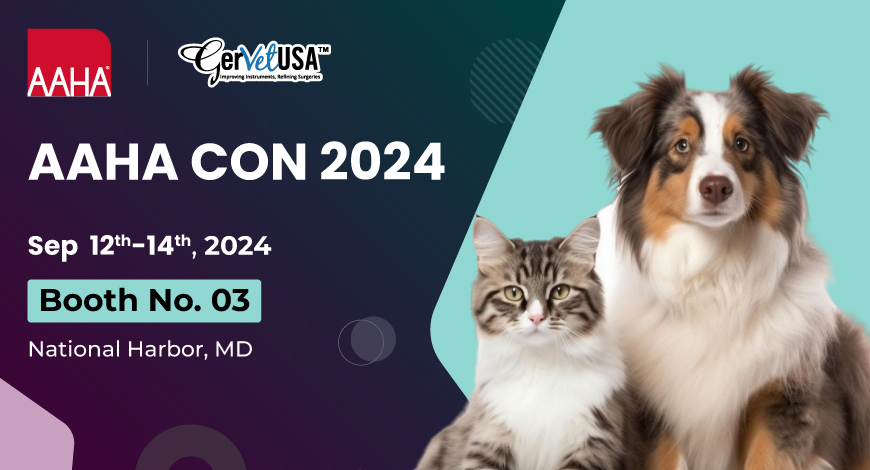 Gear Up for AAHA CON 2024: The Mega Event Is Coming!