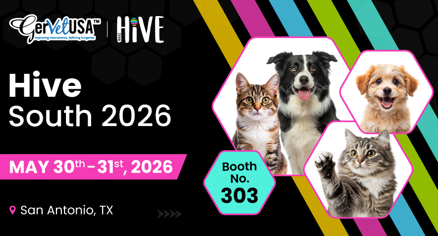 HiVE South 2026: Your Gateway to Practical Veterinary Learning