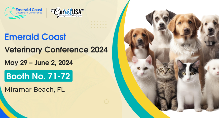 Join Us at ECVC 2024 and Get All You Need for Your Veterinary Surgery Needs