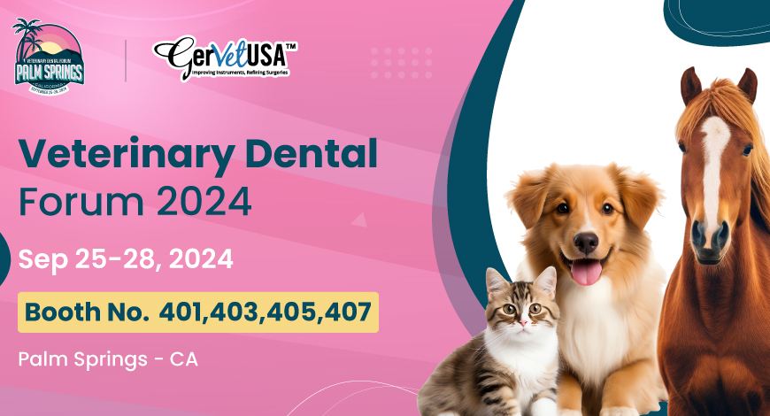 Let’s Connect to Excell: Explore Our New Products at Veterinary Dental Forum 2024