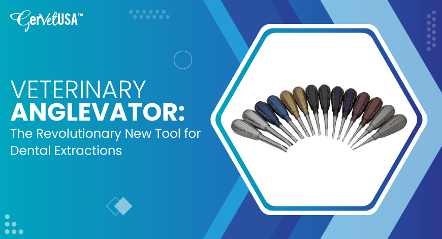 Veterinary Anglevator: The Revolutionary New Tool for Dental Extractions