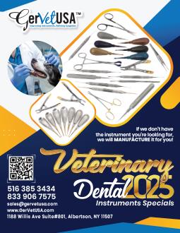 Dental Instruments