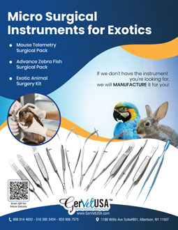 Exotic Instruments