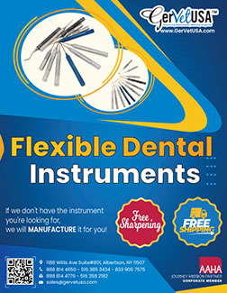 Flexible Dental Instruments
