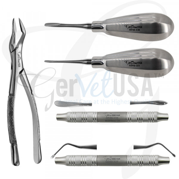 Basic Exodonita Kit | Veterinary Dental Kit | GerVetUSA Inc