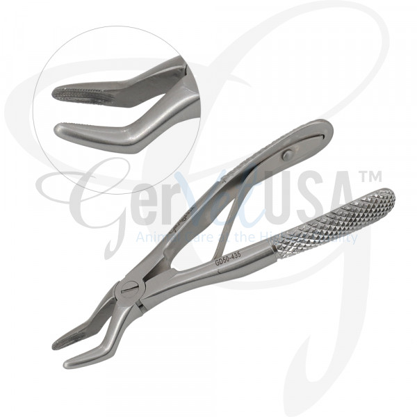 Pediatric Dental Extraction Forceps | GerVetUSA Inc