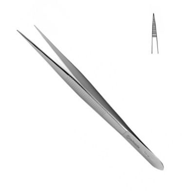 Plain Splinter Forceps 3 1/2 inch