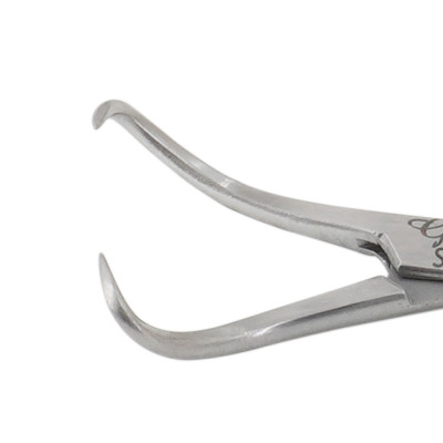 Bone Fragment Forceps 4" Regular