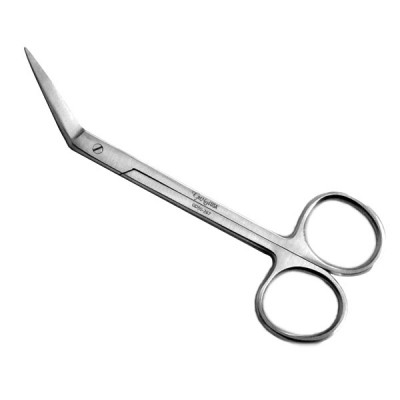 https://www.gervetusa.com/up_data/products/images/medium/gd50-267-iris-dental-gum-scissors-4-12-angled-1636956701-.jpg