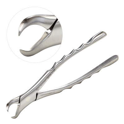 Modified Dental Forceps, Cowhorn No. 23