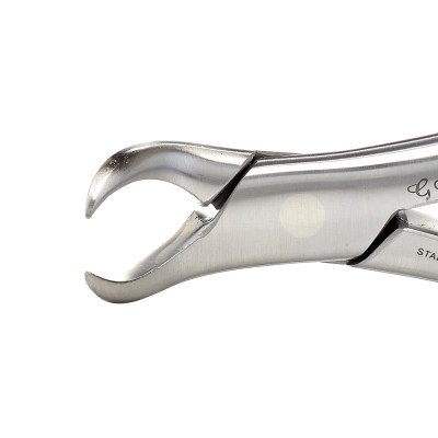 Modified Dental Forceps, Cowhorn No. 23