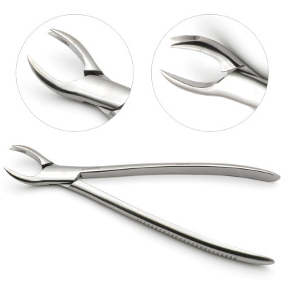 Equine Molar Forceps
