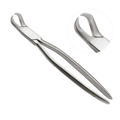Cow Horned Forceps 10 1/2 inch