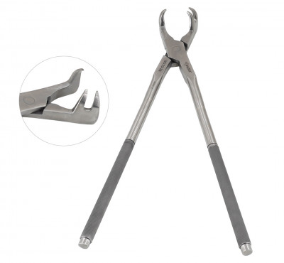 Three Prong Root Forceps Right 19 inch