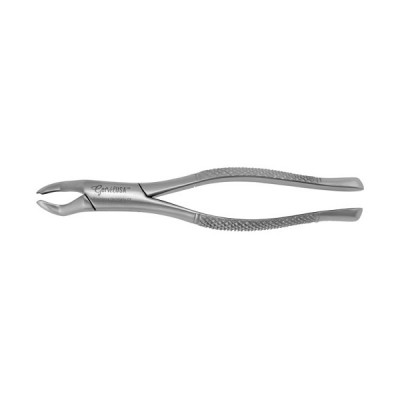 Wolf Tooth Forceps  7 1/2 inch Long  Stainless Steel