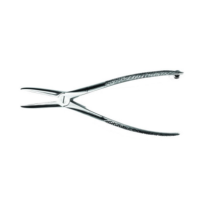 Wolf Tooth Forceps   7 inch Long  Stainless Steel