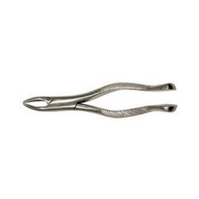 Wolf Tooth Forceps 7 inch Long Stainless Steel