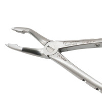 English Pattern Forceps - Roots