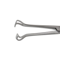 Baby Babcock Tissue Forceps 5 1/2" Delicate Jaws 6mm Wide