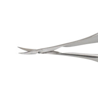 Vannas Scissors Curved