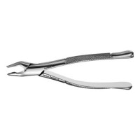 American Forceps, Upper Premolars, Incisors and Roots