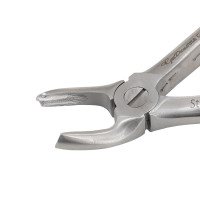 English Extracting Forceps, Upper Central & Canines No. 1