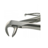 English Extracting Forceps, Lower Universal No. 167