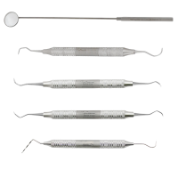 Basic Dental Prophy Set