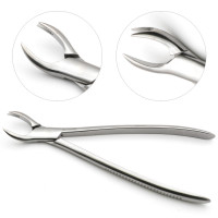 Equine Molar Forceps