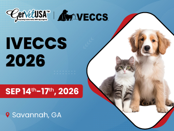 IVECCS 2026