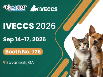 IVECCS 2026